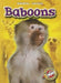Baboons by Megan Borgert-Spaniol