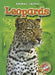 Leopards by Megan Borgert-Spaniol