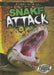 Snake Attack by Lisa Owings