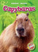 Capybaras by Megan Borgert-Spaniol