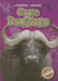 Cape Buffalo by Megan Borgert-Spaniol