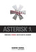 Asterisk: Home Runs, Steroids, and the Rush to Judgement by David Ezra