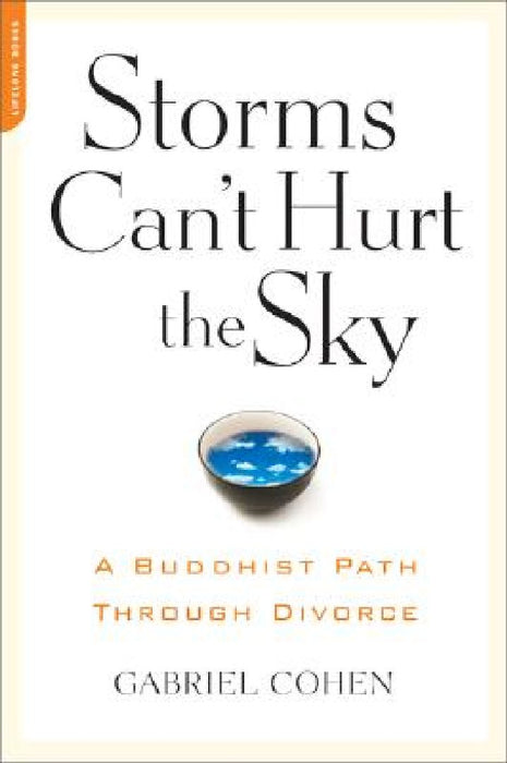 The Storms Can't Hurt the Sky: The Buddhist Path through Divorce by Gabriel Cohen