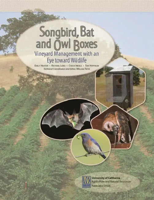 Songbird, Bat, and Owl Boxes by Emily Heaton