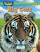 Big Cats by Bruce Johnson