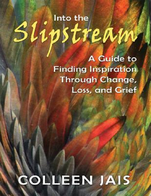 Into the Slipstream: A Guide to Finding Inspiration Through Change, Loss, and Grief by Colleen Jais
