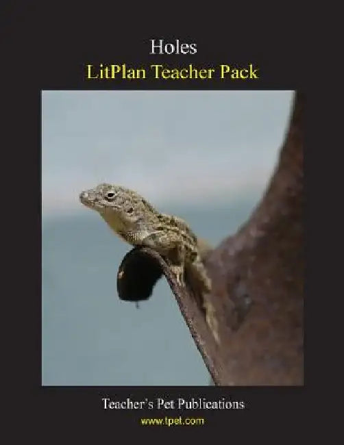 Litplan Teacher Pack: Holes by Marion B. Hoffman