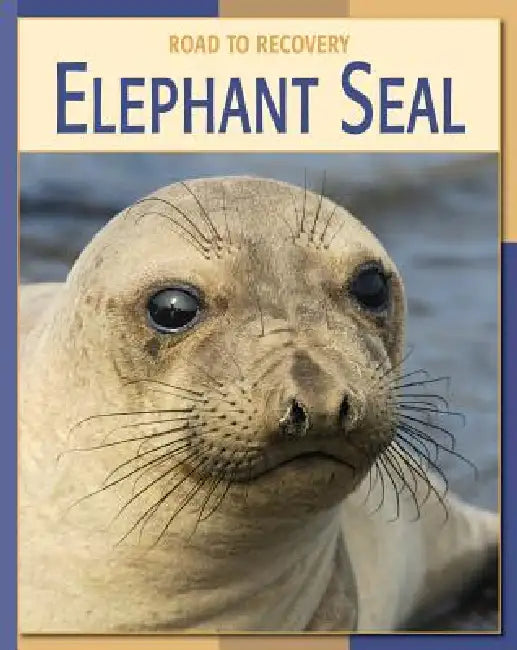 Elephant Seal by Susan H. Gray, Burney Le Boeuf