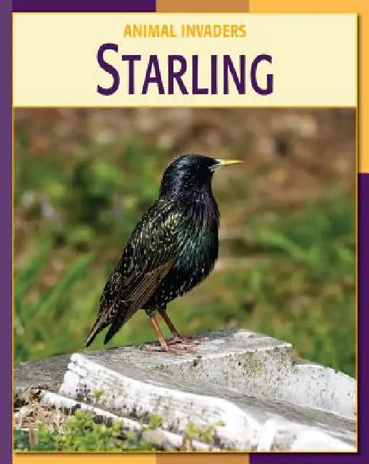 Starling by Susan H. Gray