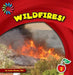 Wildfires! by Cecilia Minden