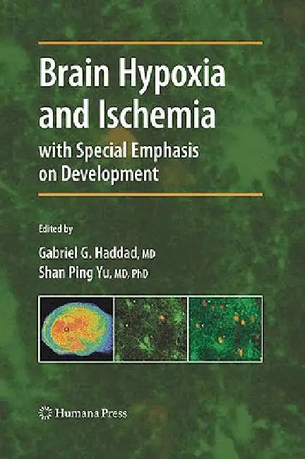 Brain Hypoxia and Ischemia by Gabriel G. Haddad, Shan Ping Yu