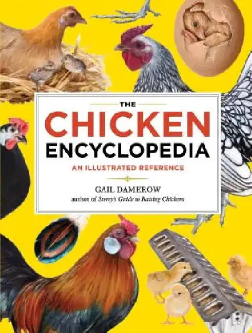 The Chicken Encyclopedia: An Illustrated Reference by Gail Damerow