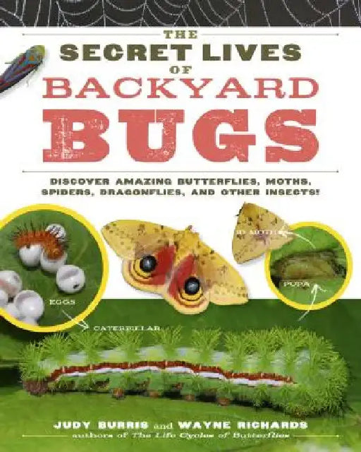The Secret Lives of Backyard Bugs: Discover Amazing Butterflies, Moths, Spiders, Dragonflies, and Other Insects! by Judy Burris