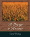 A Voyage to Arcturus by Lindsay David Lindsay, David Lindsay