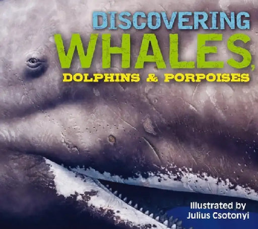 Discovering Whales, Dolphins and Porpoises: The Ultimate Guide to the Ocean's Largest Mammals by Kelly Gauthier, Julius Csotonyi