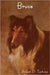 Bruce by Albert Payson Terhune
