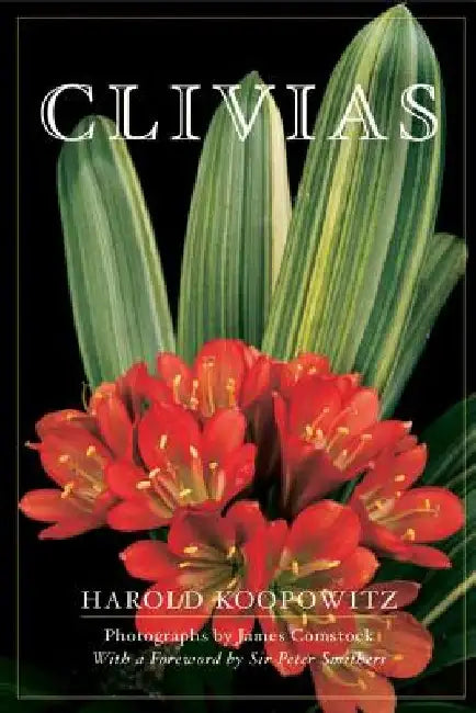Clivias by Harold Koopowitz