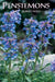 Penstemons by Robert Nold