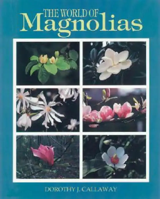 The World of Magnolias by Dorothy J. Callaway