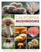 California Mushrooms: The Comprehensive Identification Guide by Dennis E. Desjardin