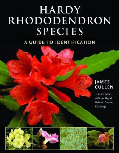 Hardy Rhododendron Species: A Guide to Identification by James Cullen
