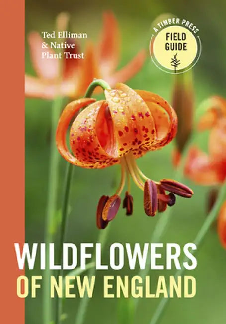 Wildflowers of New England by Ted Elliman