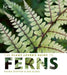 The Plant Lover's Guide to Ferns by Sue Olsen