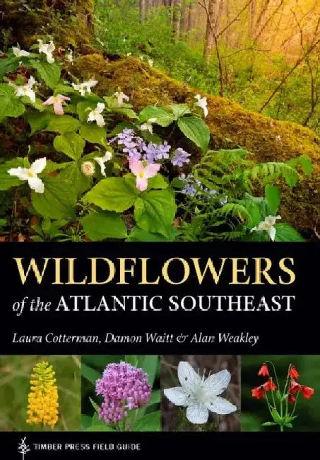 Wildflowers of the Atlantic Southeast by Laura Cotterman