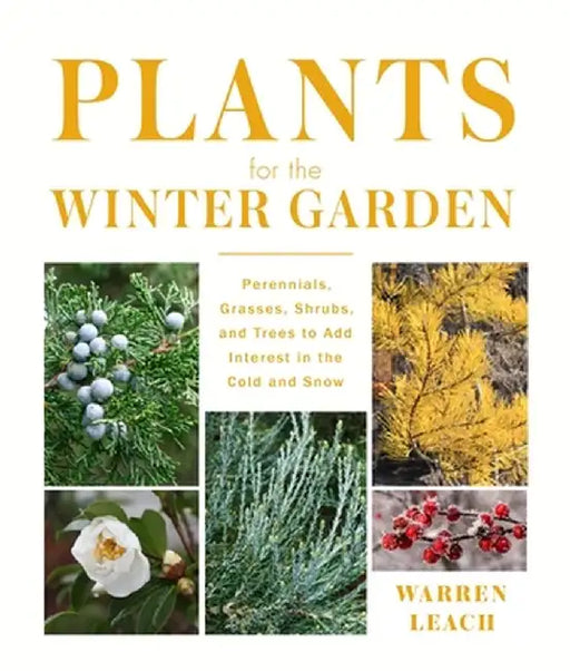 Plants for the Winter Garden: Perennials, Grasses, Shrubs, and Trees to Add Interest in the Cold and Snow by Warren Leach