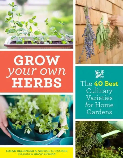 Grow Your Own Herbs: The 40 Best Culinary Varieties for Home Gardens by Susan Belsinger