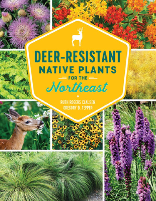75 Deer-Resistant Native Plants for the Northeast