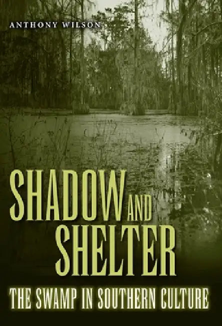 Shadow and Shelter by Anthony Wilson