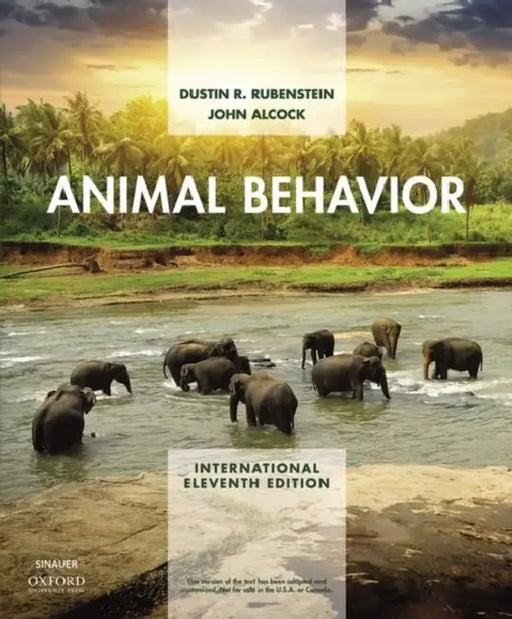 Animal Behavior Xe by Dustin Rubenstein