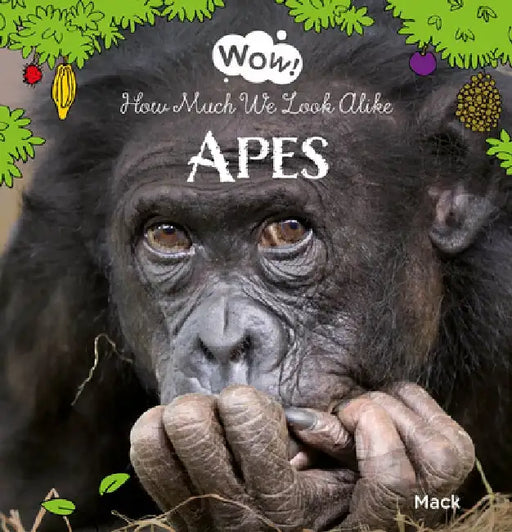 Wow! Apes. How Much We Look Alike by Mack Van Gageldonk