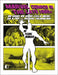 Marvel Comics in the Late 1960s: An Issue-By-Issue Field Guide to a Pop Culture Phenomenon by Pierre Comtois