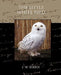 The Little White Bird by James Matthew Barrie