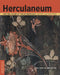 Herculaneum and the House of the Bicentenary: History and Heritage by Sarah Court