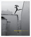 Rodney Smith: A Leap of Faith by Paul Martineau