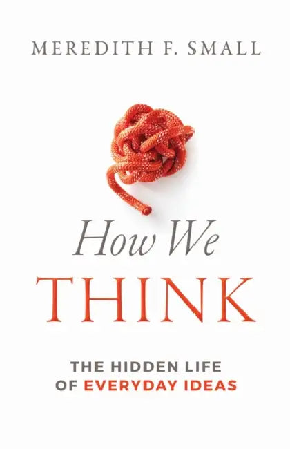 How We Think: The Hidden Life of Everyday Ideas by Meredith Francesca Small