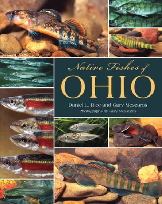 Native Fishes of Ohio by Rice, Gary Meszaros, Gary Meszaros