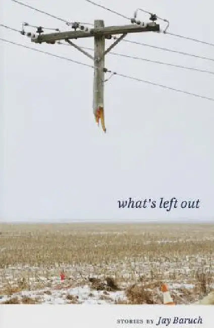 What's Left Out: Stories by Baruch