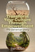 Transform Your Culture Through Empowerment: The Salvarcar Story by San Allen