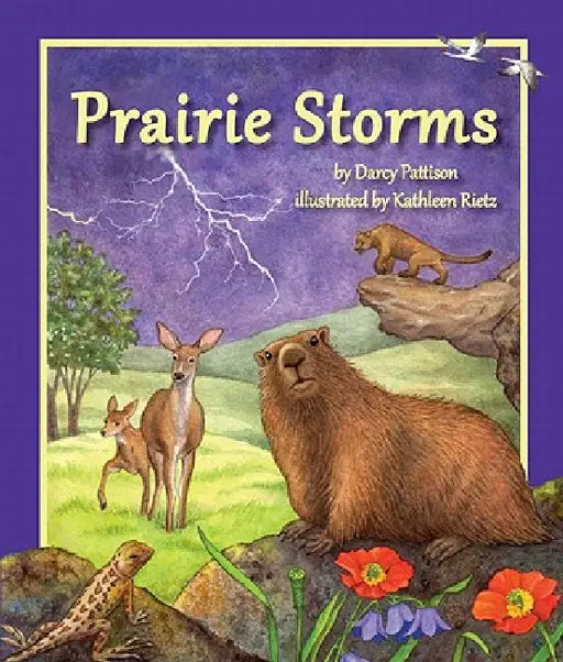 Prairie Storms by Darcy Pattison, Kathleen Rietz