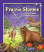 Prairie Storms by Darcy Pattison, Kathleen Rietz