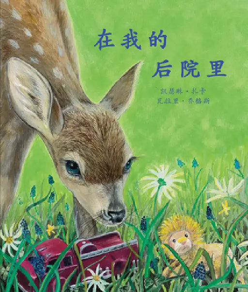 In My Backyard in Chinese by Valarie Giogas