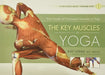 The Key Muscles of Yoga by Ray Long