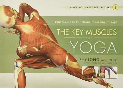 The Key Muscles of Yoga by Ray Long