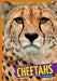 Cheetahs by Arnold Ringstad