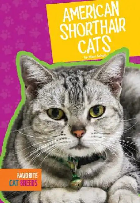 American Shorthair Cats by Mari C. Schuh