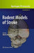 Rodent Models of Stroke by Ulrich Dirnagl